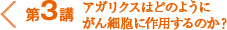 第３講　アガリクスはどのようにがん細胞に作用するのか？