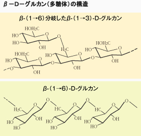 多糖体β－グルカン