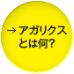 アガリスクとは何？
