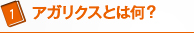 アガリクスとは何？
