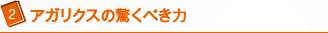 アガリクスの驚くべき力
