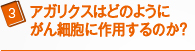 アガリクスはどのようにがん細胞に作用するのか？